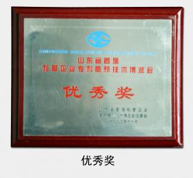 1999年被評為“山東省首屆私營(yíng)企業(yè)專(zhuān)利高新技術(shù)博覽會(huì )優(yōu)秀獎”