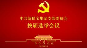 新稀寶黨支部換屆會(huì )議順利召開(kāi)