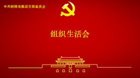 新稀寶黨支部召開(kāi)2024年度組織生活會(huì )及民主評議黨員會(huì )議