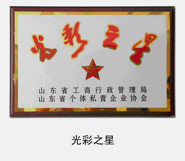 2005年，被省工商局、省個(gè)體私營(yíng)企業(yè)協(xié)會(huì )評為“光彩之星”企業(yè)